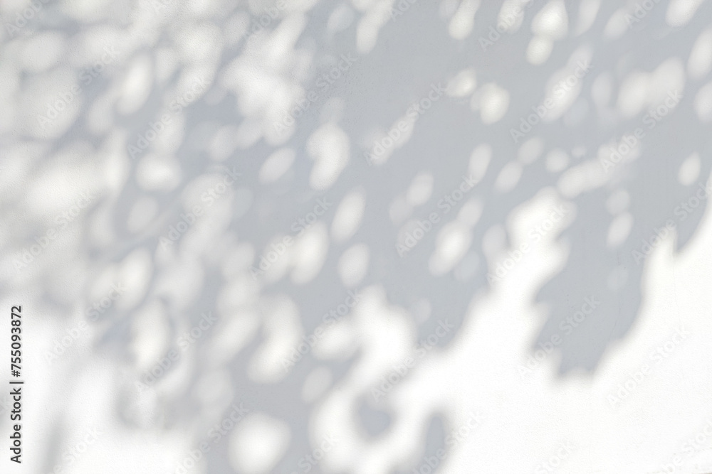 Poster tree shadow and leaf branch with light bokeh background. nature leaves tropical jungle light and dar