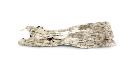 Isolated piece of birch bark on the white. Bark of birch wooden background.
