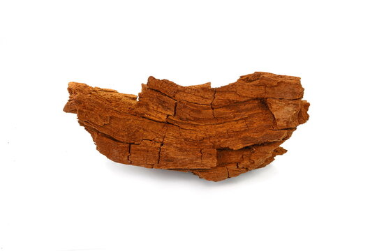 Decorative part of red wood isolated over white background. Cracked dry red wood as a decorative design element.