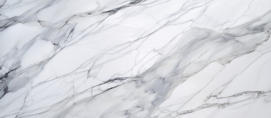 A detailed view of the intricate patterns and textures present in a white marble surface, ideal for backgrounds or product displays.