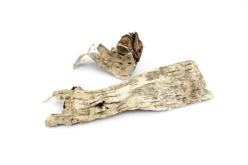 Isolated piece of birch bark on the white. Bark of birch wooden background.