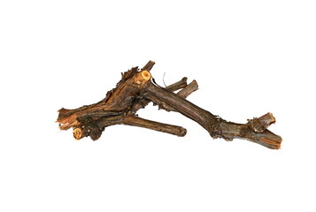 Dried vine branch as a decorative element isolated on white.