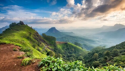 scenic landscape of the munnar mountain view of southern western ghats of india in kerala - obrazy, fototapety, plakaty