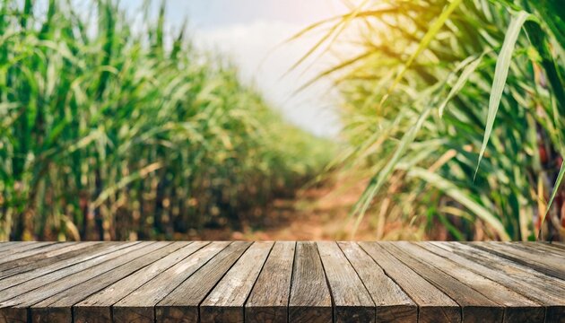 the empty wooden brown table top with blur background of sugarcane plantation exuberant image