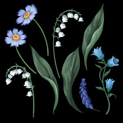 Lilies of the valley and other flowers isolated. Vector. - 755103207