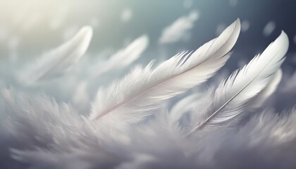 abstract white bird feathers floating in the sky freedom feather softness falling white feathers