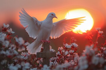 Dove on cross grave