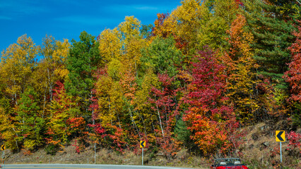 Obraz premium Autumn foliage in fall season. Red autumn landscapes in fall, trees and mountains of New England