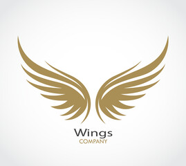 wings logo, simple decorative vector illustration