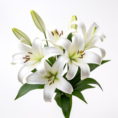 Obraz na płótnie Canvas Lily, white background, professional photo сreated with Generative Ai