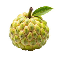 Custard apple. isolated on a transparent background.