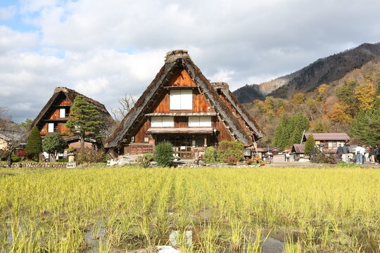 Traditional and Historical Japanese village Shirakawago in autumn season. High quality photo