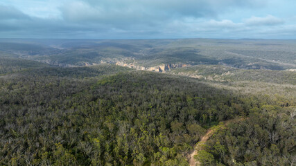 Drone aerial photograph of a large green eucalyptus tree forest and valley in the Blue Mountains in...