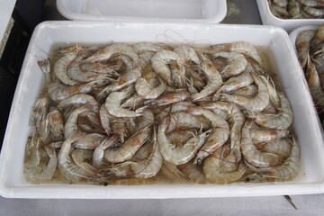 Fresh crabs, buy here and have them prepared in the restaurant on the seashore. Fortaleza - Ceara, Brazil.