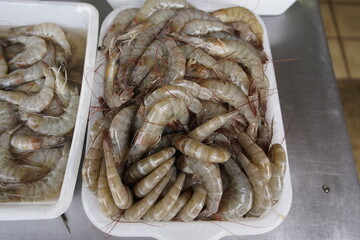 Fresh crabs, buy here and have them prepared in the restaurant on the seashore. Fortaleza - Ceara, Brazil.