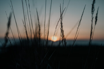 Zdjęcie przedstawia zachód słońca który wykonałem podczas spaceru. Wiosenne zachody są przepiękne. - obrazy, fototapety, plakaty