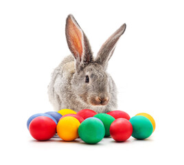 Rabbit and Easter eggs. - 755116896