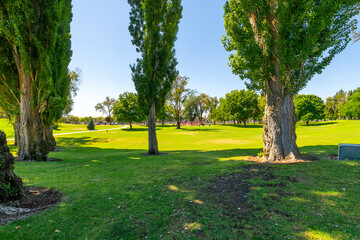 A summer day at the 24 acre lakeside Blue Heron Park in the city of Moses Lake, Washington, in Central Washington, USA.