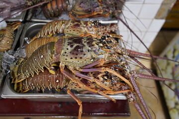 Fresh lobsters, buy here and have them prepared in the restaurant on the seashore. Fortaleza -...