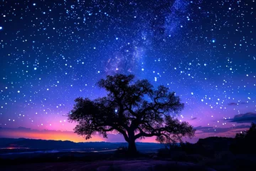 Fotobehang Tree Silhouetted Against Starry Night Sky © Ilugram