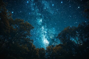 Fototapeta na wymiar Starry Night Sky Over Tree Landscape