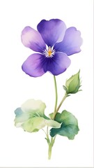 Single Violet flower in the style of watercolor pseudo