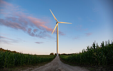 Windmill in the corn