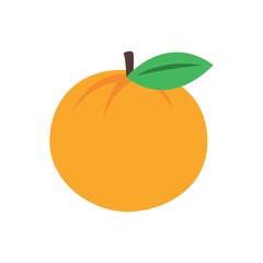 Orange Fruit Citrus icon vector