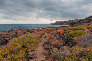 Stone coast with cliffs of the Atlantic Ocean at sunrise. Tenerife. Canary Islands, Spain