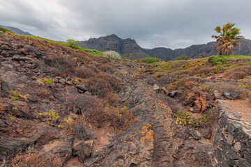 Scenic mountain landscape.Cactus,vegetation and sunset panorama in Tenerife.Canary island.Tenerife.Spain