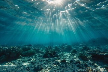 Fototapeta na wymiar Tranquil underwater scene with soft sunlight filtering through Showcasing the serene beauty of the ocean
