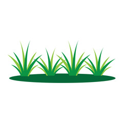 grass icon vector illustration design template