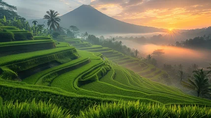 Foto auf Acrylglas Reisfelder A serene sunrise over the rice terraces, with the early morning light casting a golden glow over the lush green fields. Generative AI.