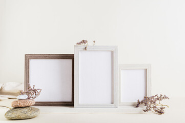Composition from a set of photo frames, dried flowers and stones on a light background