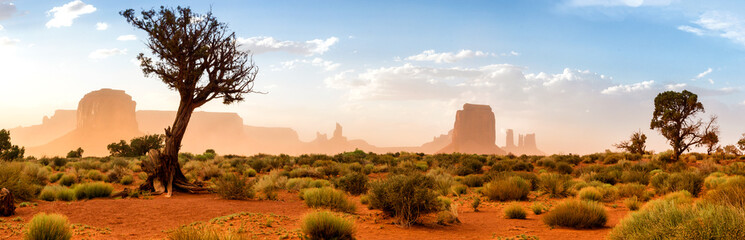 A view in the Monument valley. USA. - obrazy, fototapety, plakaty