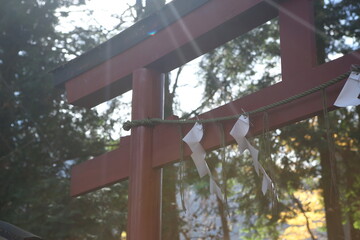 NIKKO, JAPAN, UNESCO world heritage site. High quality photo