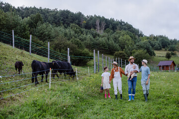 Rear view of farmer family walking by animals in paddock. Farm animals having ideal paddock for grazing. Concept of multigenerational and family farming. - obrazy, fototapety, plakaty