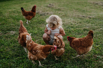 Little girl squating among chickens on a farm, chasing them. Having fun during the holidays at her...
