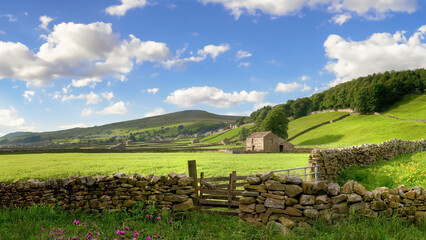 The landscape in Swaledale, Yorkshire Dales, England.