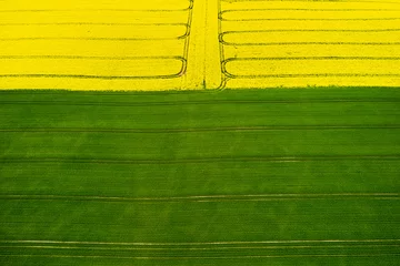 Gordijnen Agriculture. Beautiful landscape with yellow and green fields. Lines on the fields © korsarid