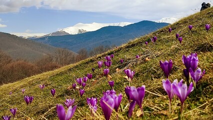 spring in the mountains