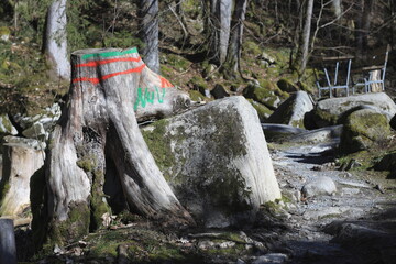 Wegweiser Im Bayerischen Wald