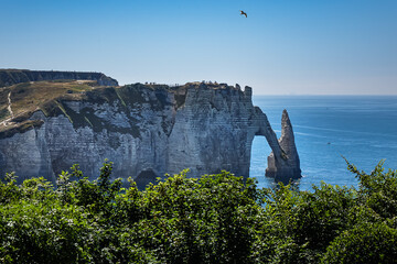 The Etretat Gardens (Les Jardins D'Etretat) picturesque garden with a view over the city and cliffs...