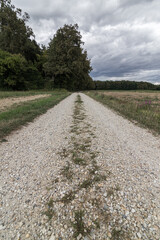 Fototapeta na wymiar A road in nature outdoor with a forest and a cloudy sky