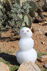 Snow in the Desert, sometimes.