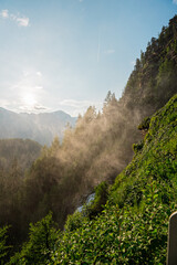 Forest with Waterfall Mist