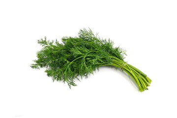 bunch fresh green dill isolated on white background.
