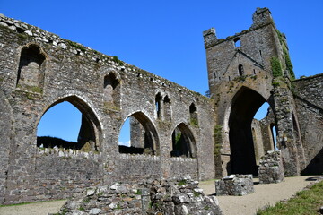 Fototapeta na wymiar Ruins of Dunbrody Abbey, Dunbrody, Campile, Co Wexford, Ireland