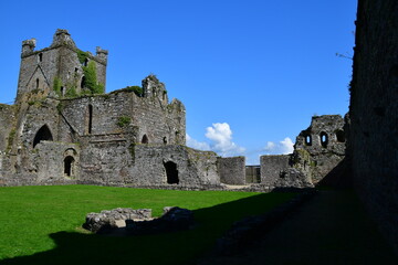 Fototapeta na wymiar Ruins of Dunbrody Abbey, Dunbrody, Campile, Co Wexford, Ireland