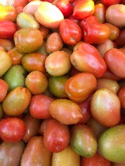 red and yellow green tomatoes 